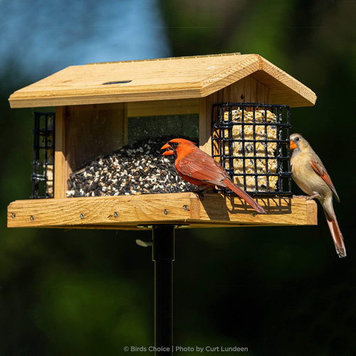 Birds Choice Metal Birdhouse Pole & Reviews Wayfair